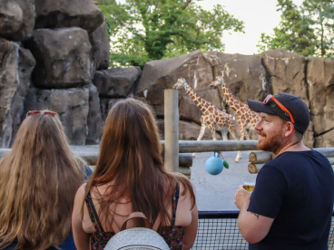 费城动物园夏季啤酒节